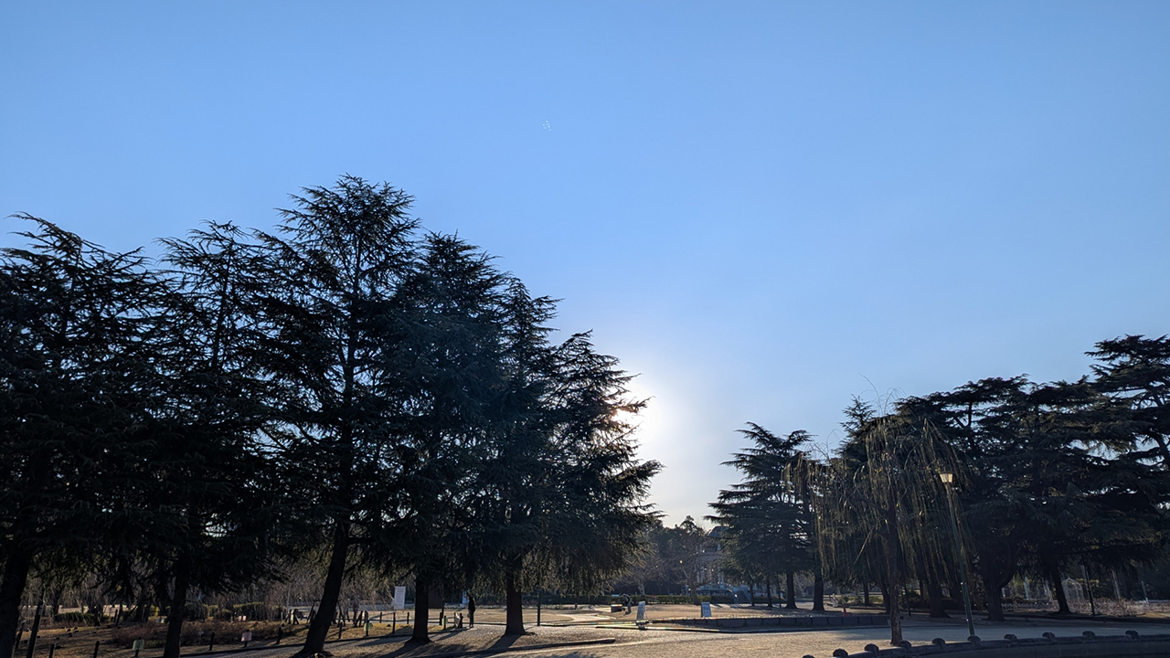 名古屋市の人気観光スポット 鶴舞公園